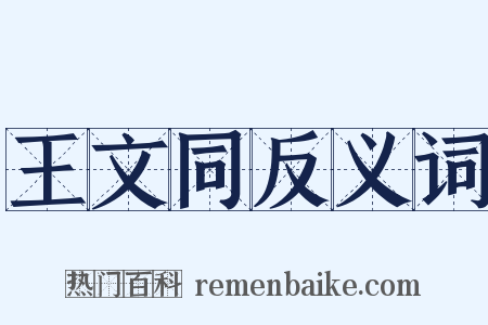 王文同反义词是什么意思的图片